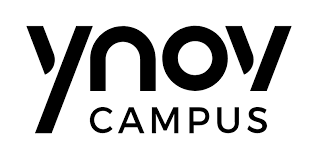 Ynov Campus — Partenaire VidaCraft